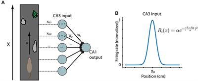 Behavioral Time Scale Plasticity of Place Fields: Mathematical Analysis